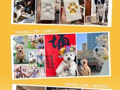 -斯普瑞斯奥特莱斯