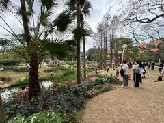 -人民公园(罗湖区)