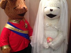 -济州岛泰迪熊博物馆