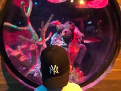 -沈阳海洋探索中心