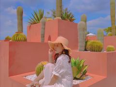 -漳州滨海火山岛自然生态风景区