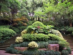 -杭州半山国家森林公园