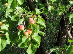 -蟠龙山长城景区