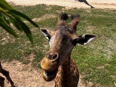 -鄂尔多斯野生动物园