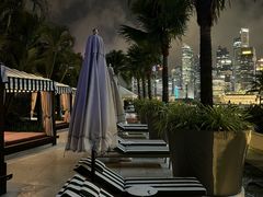 -新加坡文华东方酒店