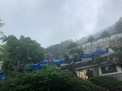 -老幺泉水鸡