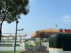 -爪吧宠物乐园·宠物泳池(温榆河示范区店)