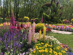 -上海共青森林公园