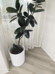 -HEYAN荷妍专业脱毛连锁机构