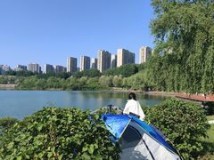 -丁香湖公园