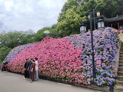 -苏州上方山国家森林公园
