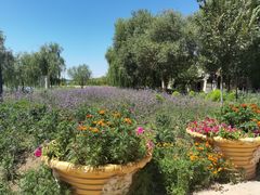 -杜氏旅游度假区