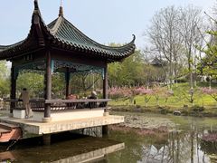 -月湖风景区