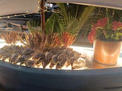 -亚龙湾希尔顿自助餐厅·海鲜·烧烤·沙滩BBQ·现场乐队