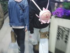 -line friends(明洞旗舰店)