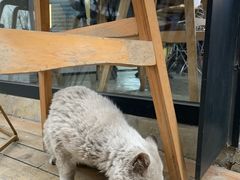 -铁手珈琲制造局metalhands(望京店)