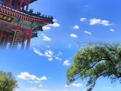 -颐和园