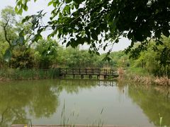 -梁鸿国家湿地公园