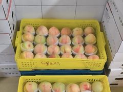 -老袁家蜜桃农场·阳山水蜜桃