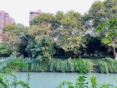 -沙河三洞古桥公园