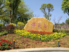 -聚龙山公园