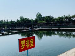 -特种渔场