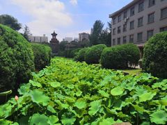 -四川大学(华西校区)