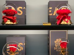 -BEAST野兽派(上海浦东嘉里城店)