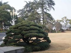 -浙江西子宾馆·瑶园咖啡厅