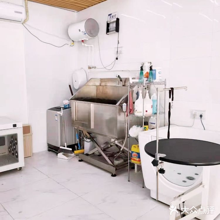 偶然看到这家宠物店，真的太高质量了[加油]