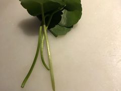 -绿茶餐厅(西湖银泰百货店)