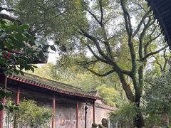 -天一阁博物院