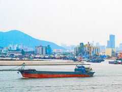-芒洲湿地公园