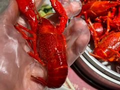 -化得了笼虾馆·精品大虾·罗氏虾·香辣蟹(庐江路店)