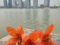 -喜洲吧·江畔老船厂·庭院餐厅(喜临院店)