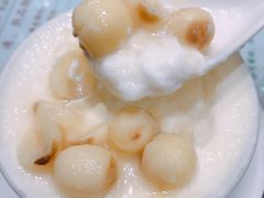 -义顺牛奶公司(新马路老店)