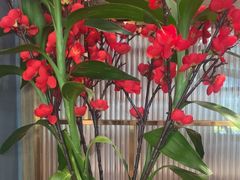 -鑫小城故事·藕汤·家常菜(台北一路总店)