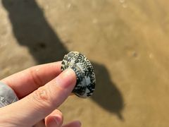 -宁波松兰山滨海旅游度假区