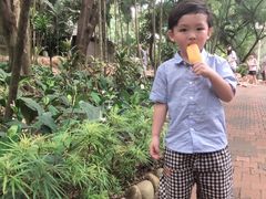 -吉隆坡雀鸟公园