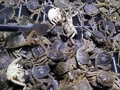-聚盛源蒸汽海鲜火锅烤肉自助(巨川金海岸购物广场店)