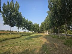 -汉长安城未央宫国家考古遗址公园