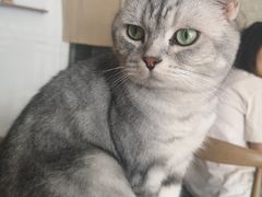 -平行世界·猫咖(首经贸店)