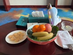 -常州环球恐龙城维景国际大酒店