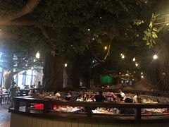 -杭州开元森泊度假乐园