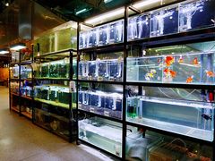 -宠物世家(仲盛世界商城店)