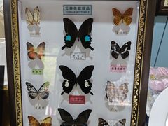 -野象谷景区