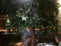 -同仁四季椰子鸡(无锡滨湖万象汇店)
