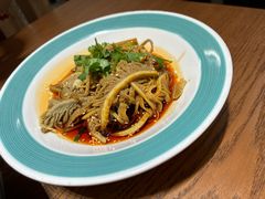 红油千层肚-掌上鲜(南顺城街店)