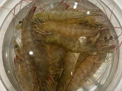 -红鼎豆捞·非遗鲍皇汤火锅(宝丰路店)