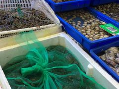 水产区-北京清河镇农副产品交易市场中心